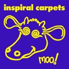 INSPIRAL CARPETS Greatest Hits Tour