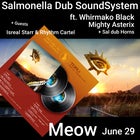 Salmonella Dub SoundSystem