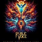 Public Voice presents: Public Nostalgia